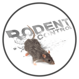 Kalamazoo Rodent Control - Mouse Exterminator