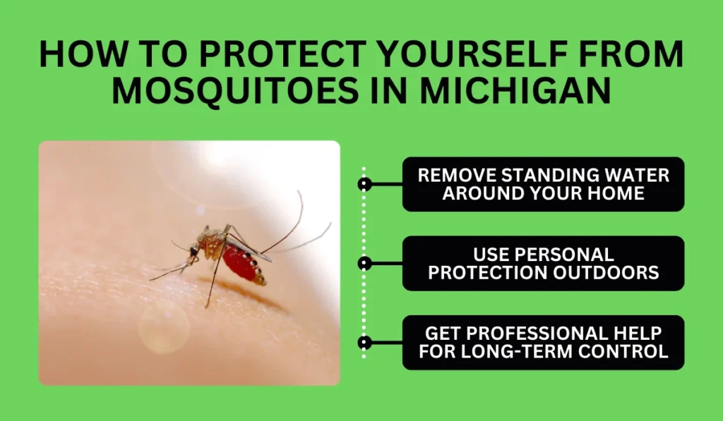 How to Protect Yourself from Mosquitoes in Michigan