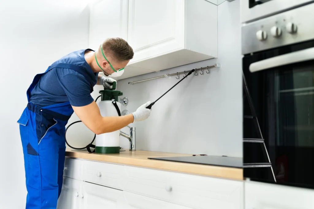 Technician wearing mask and gloves applying pest-control spray under a kitchen cabinet