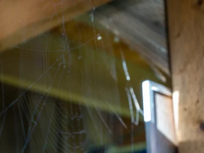 Delicate spider web strands stretched beneath wooden stair beams with sunlight filtering through